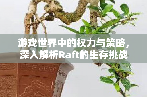 游戏世界中的权力与策略，深入解析Raft的生存挑战
