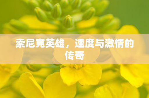 索尼克英雄，速度与激情的传奇