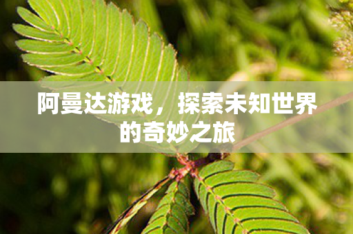 阿曼达游戏，探索未知世界的奇妙之旅