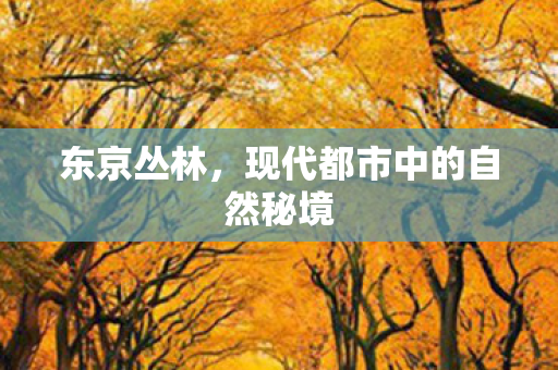 东京丛林，现代都市中的自然秘境