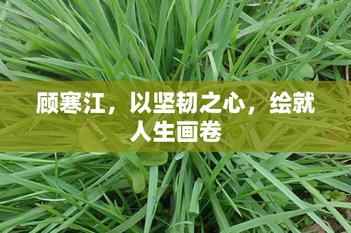 顾寒江，以坚韧之心，绘就人生画卷