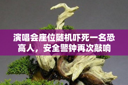 演唱会座位随机吓死一名恐高人,安全警钟再次敲响 演唱会座位随机吓死一名恐高人,安全警钟再次敲响