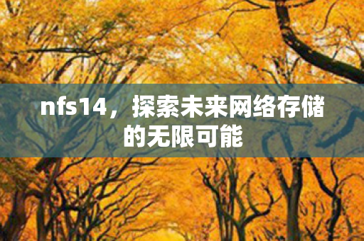 nfs14，探索未来网络存储的无限可能