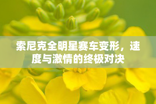 索尼克全明星赛车变形图片
