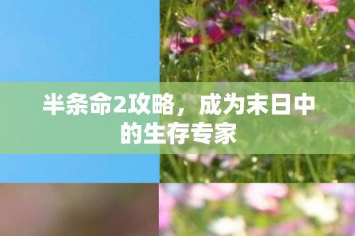 半条命2攻略，成为末日中的生存专家