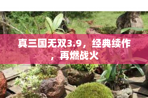 真三国无双3.9，经典续作，再燃战火