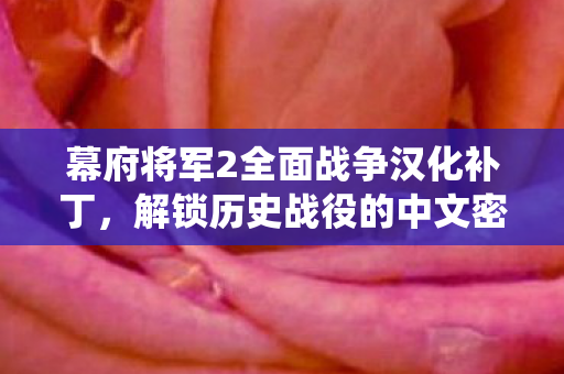 幕府将军2全面战争汉化补丁，解锁历史战役的中文密钥