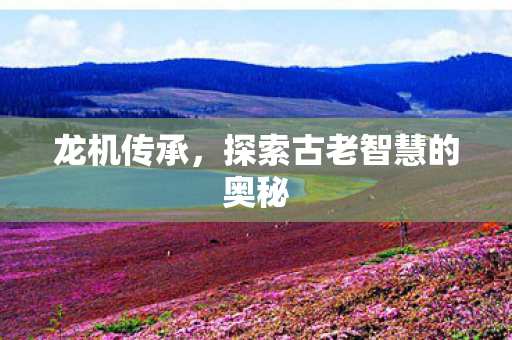 龙机传承，探索古老智慧的奥秘
