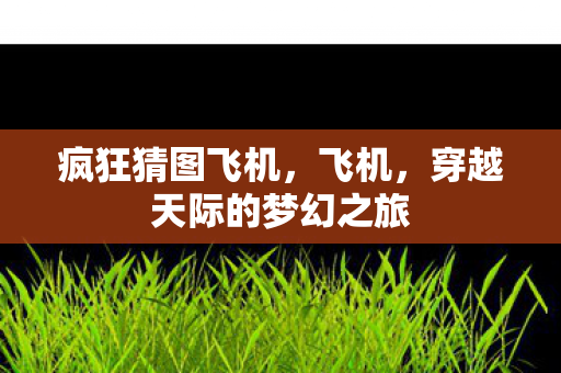疯狂猜图飞机，飞机，穿越天际的梦幻之旅
