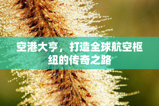 空港大亨，打造全球航空枢纽的传奇之路
