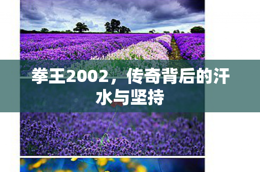 拳王2002,传奇背后的汗水与坚持 拳王2002,传奇背后的汗水与坚持