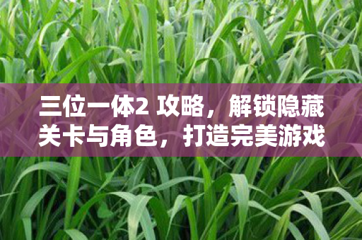 三位一体2 攻略，解锁隐藏关卡与角色，打造完美游戏体验