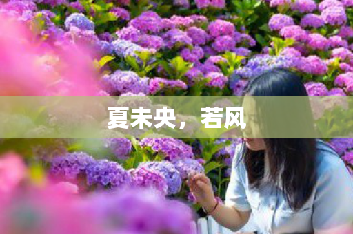 夏未央，若风