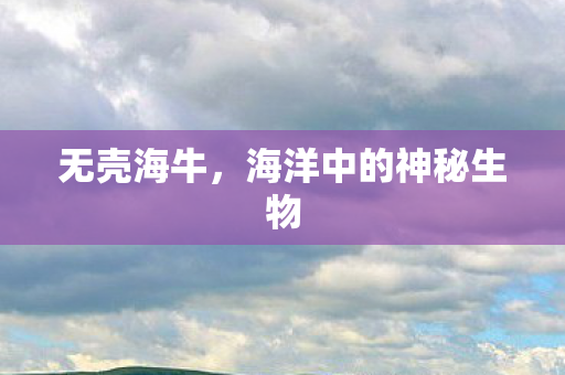 无壳海牛，海洋中的神秘生物