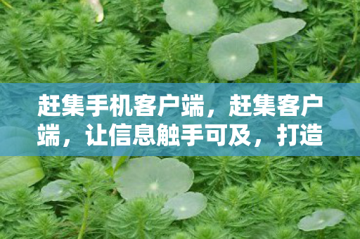 赶集手机客户端,赶集客户端,让信息触手可及,打造便捷生活新体验 赶集手机客户端,赶集客户端,让信息触手可及,打造便捷生活新体验