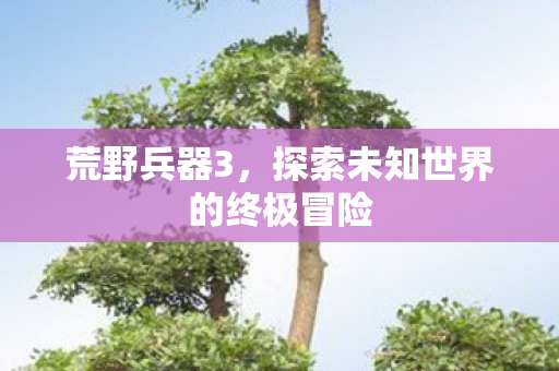荒野兵器3，探索未知世界的终极冒险
