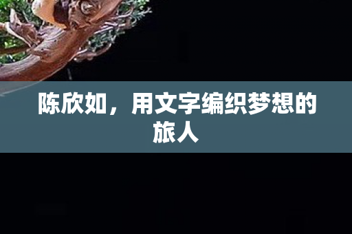 陈欣如，用文字编织梦想的旅人