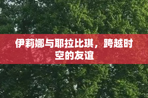 伊莉娜与耶拉比琪，跨越时空的友谊
