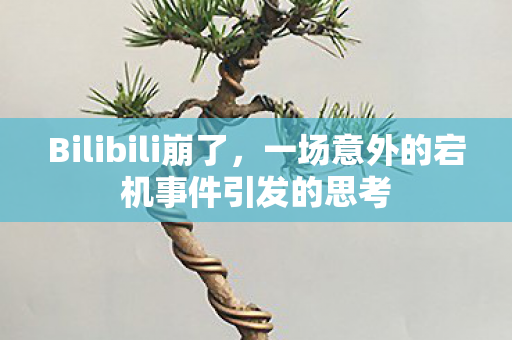 Bilibili崩了，一场意外的宕机事件引发的思考