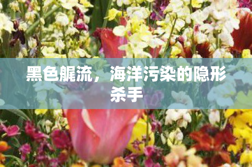黑色艉流，海洋污染的隐形杀手