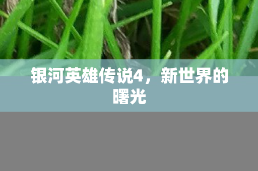 银河英雄传说4，新世界的曙光