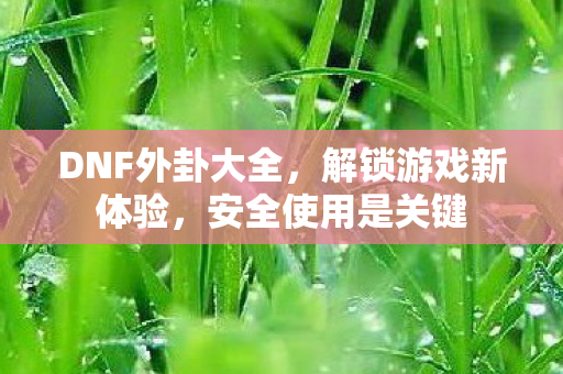 DNF外卦大全，解锁游戏新体验，安全使用是关键