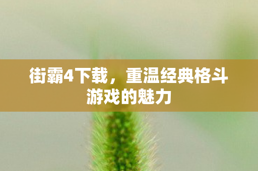 街霸4下载，重温经典格斗游戏的魅力