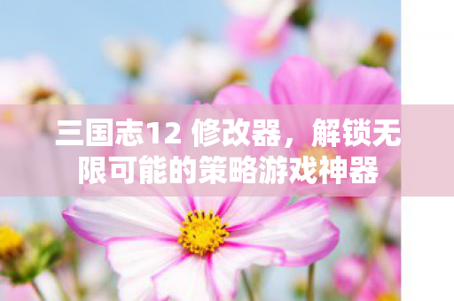三国志12 修改器,解锁无限可能的策略游戏神器 三国志12 修改器,解锁无限可能的策略游戏神器