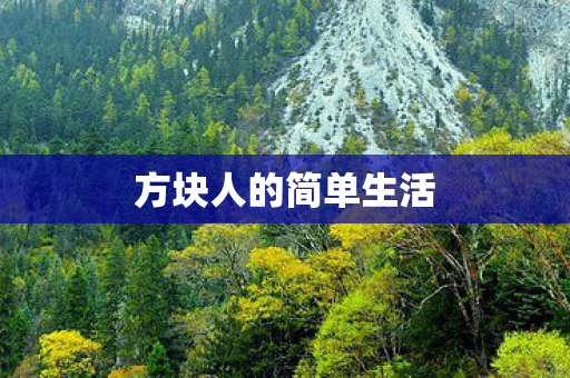 方块人的简单生活