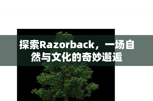 探索Razorback，一场自然与文化的奇妙邂逅