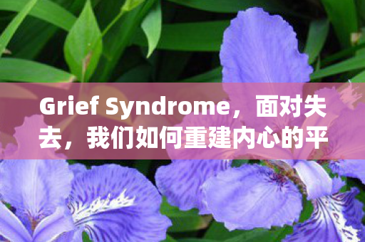 Grief Syndrome，面对失去，我们如何重建内心的平衡？