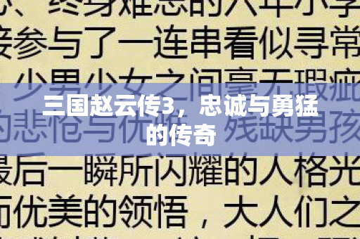 三国赵云传3，忠诚与勇猛的传奇