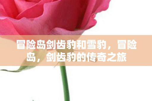 冒险岛剑齿豹和雪豹，冒险岛，剑齿豹的传奇之旅