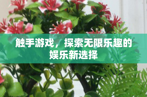 触手游戏，探索无限乐趣的娱乐新选择
