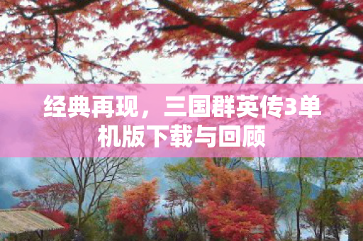 经典再现，三国群英传3单机版下载与回顾