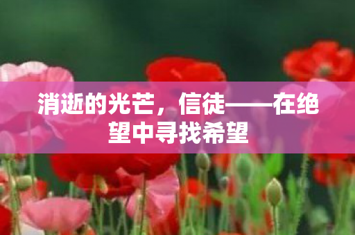 消逝的光芒，信徒——在绝望中寻找希望