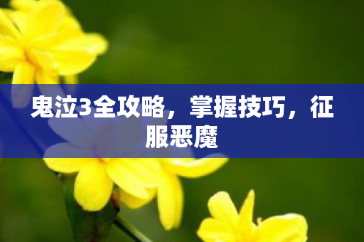鬼泣3全攻略，掌握技巧，征服恶魔