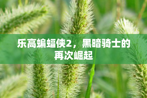 乐高蝙蝠侠2,黑暗骑士的再次崛起 乐高蝙蝠侠2,黑暗骑士的再次崛起