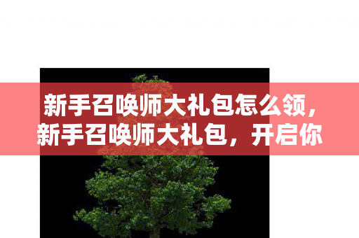 新手召唤师大礼包怎么领，新手召唤师大礼包，开启你的游戏人生新篇章！