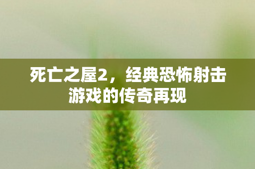 死亡之屋2，经典恐怖射击游戏的传奇再现