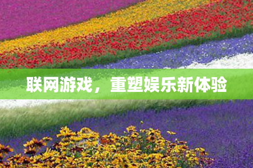 联网游戏，重塑娱乐新体验