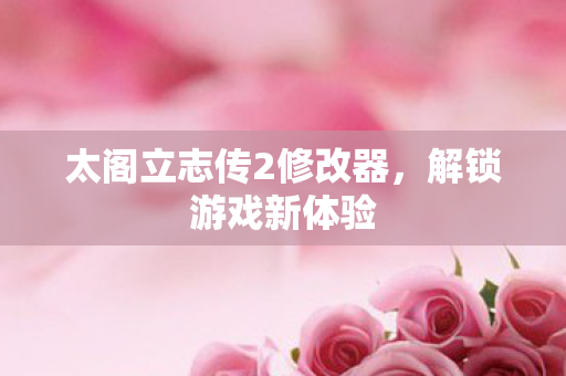 太阁立志传2修改器，解锁游戏新体验