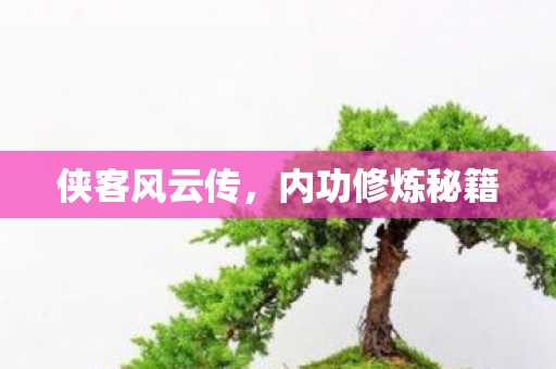 侠客风云传，内功修炼秘籍