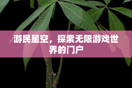 游民星空，探索无限游戏世界的门户