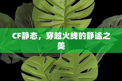 CF静态，穿越火线的静谧之美