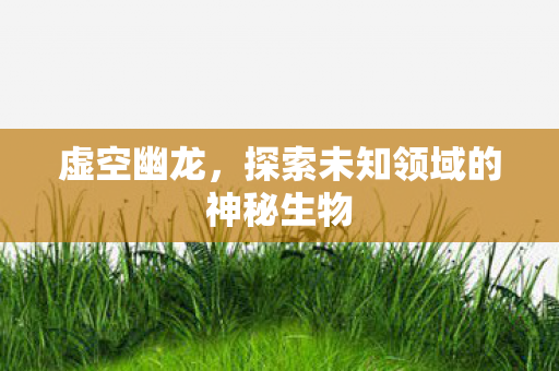 虚空幽龙，探索未知领域的神秘生物