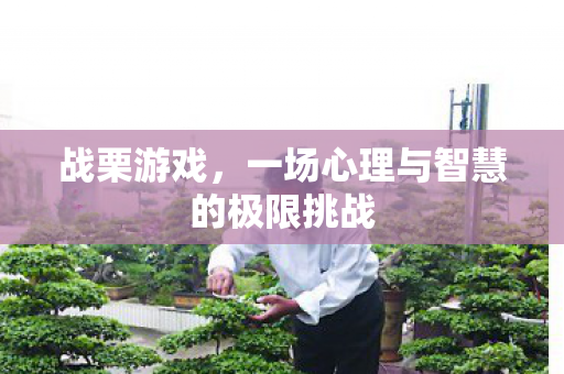 战栗游戏,一场心理与智慧的极限挑战 战栗游戏,一场心理与智慧的极限挑战