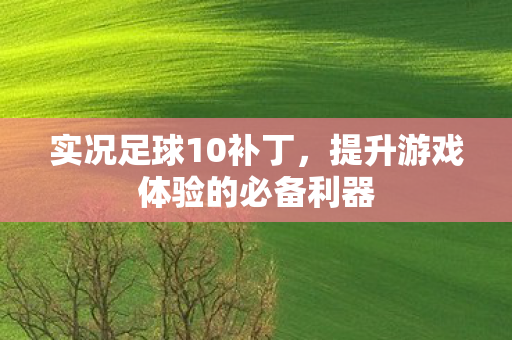 实况足球10补丁，提升游戏体验的必备利器