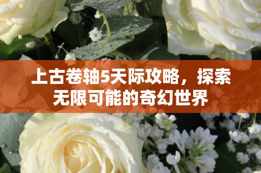 上古卷轴5天际攻略，探索无限可能的奇幻世界