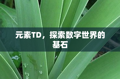 元素TD，探索数字世界的基石
